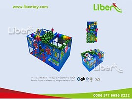 Small  Indoor Playground Design